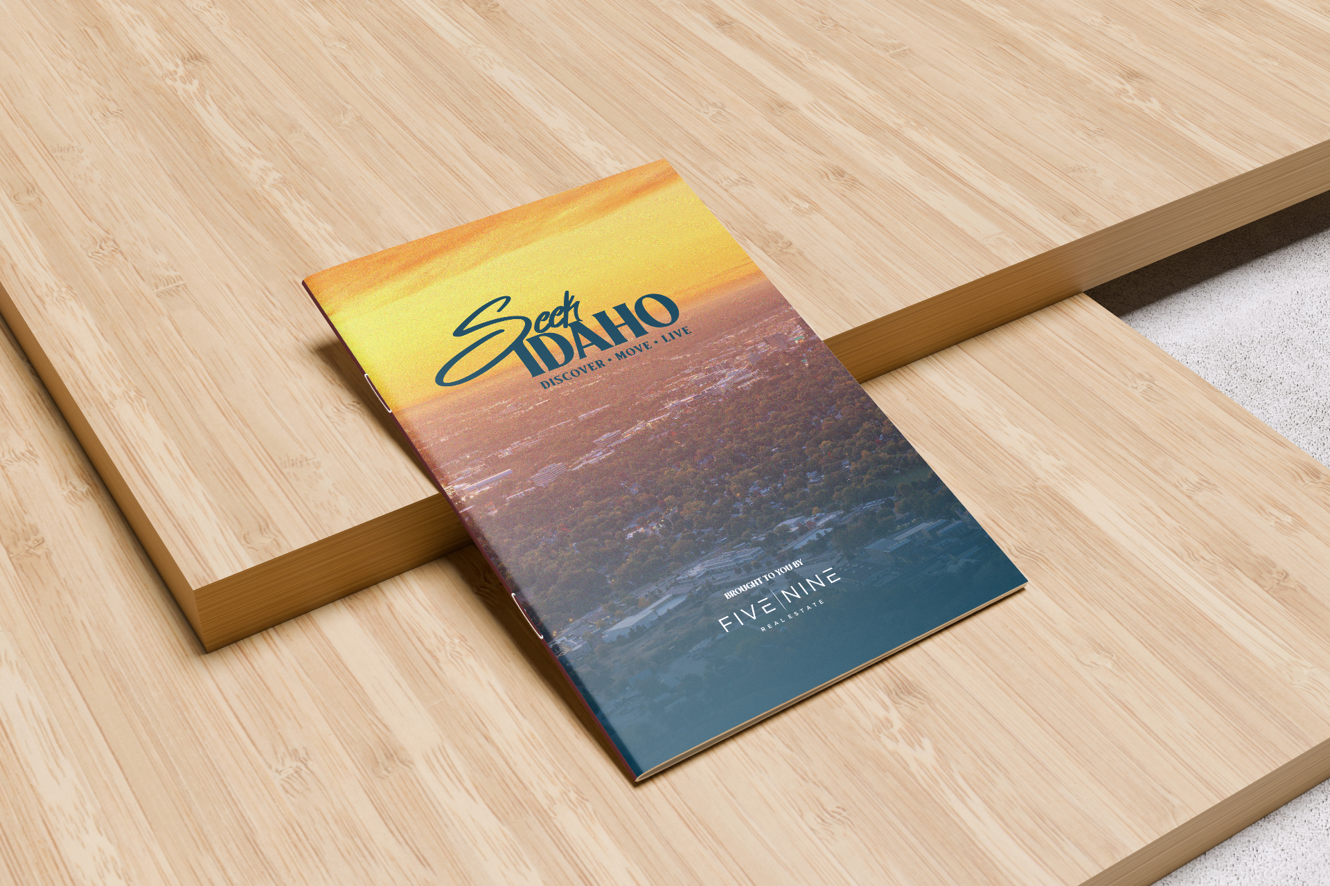 A SeekIdaho.com neighborhood mailer — the funding vehicle for our community storytelling